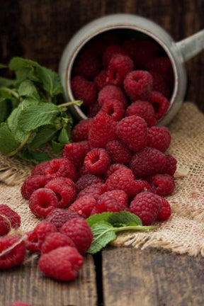 Raspberry Bar Chocolate (80 gm)