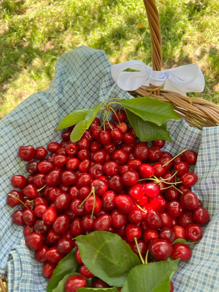 Cherry Bar Chocolate (80gm)